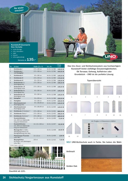 Bildansicht der Seite